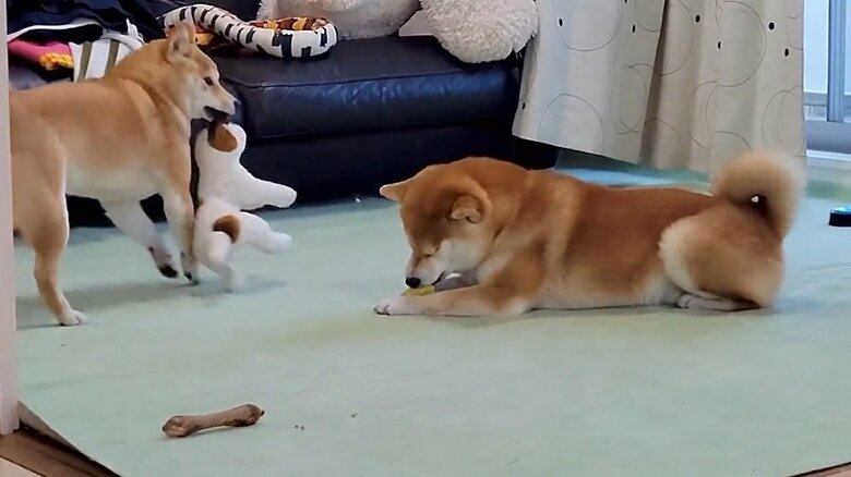 「当たったかな？」と一瞬止まるも…