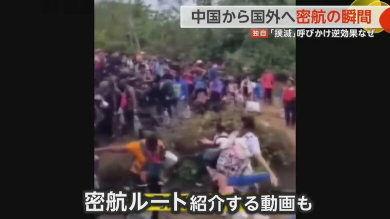 くわしい密航ルートなどを紹介する動画が次々投稿されているという