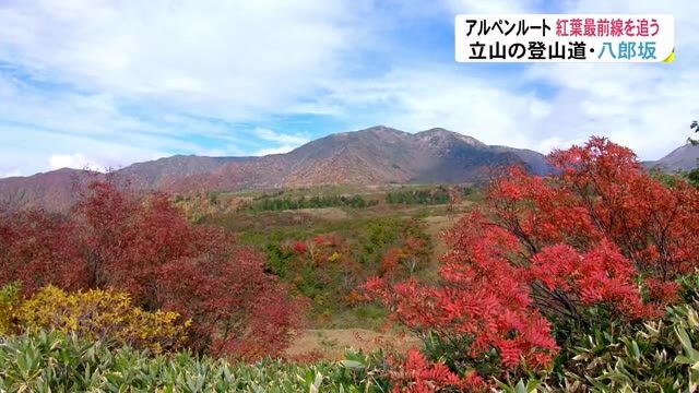アルペンルート 紅葉がピーク