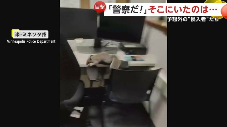 小さな侵入者を確保しようとしていたが、あえなく失敗した警察官