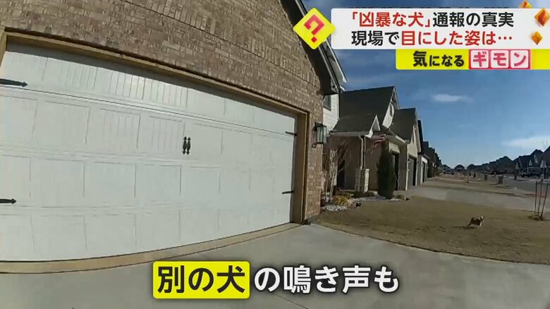 （画像：Oklahoma County Sheriff's Office）