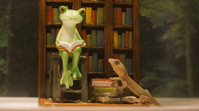読書に興味がある？チビヤモちゃん