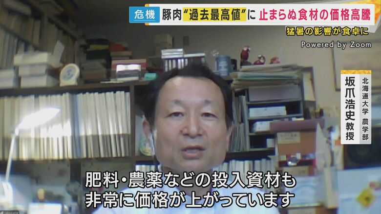 北海道大学農学部 坂爪浩史教授