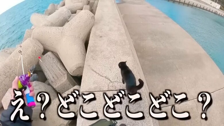 「どこどこ？」と追いかける釣りのうらもっちゃんねるさん