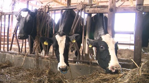 DOI FARM（静岡・富士宮市）