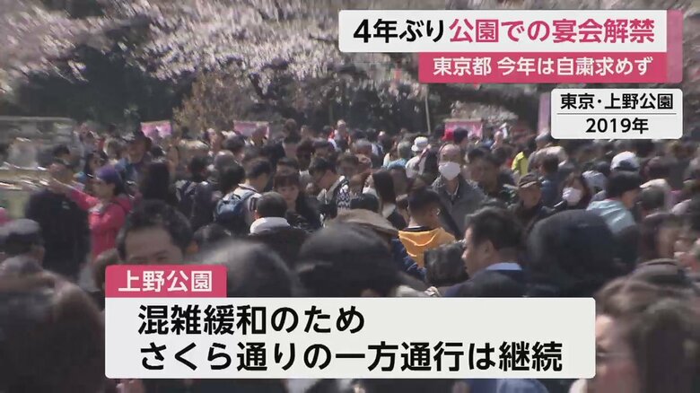 コロナ禍前、2019年の上野公園「さくら通り」の様子
