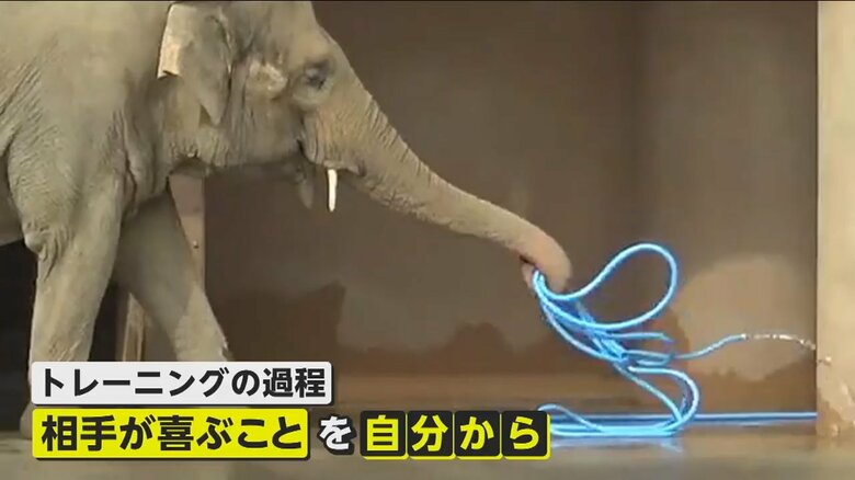 （撮影：らすかるさん）