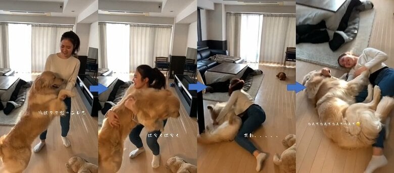 飼い主さんにも抱っこを催促するけれども…