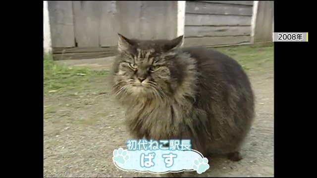 初代ねこ駅長の「ばす」