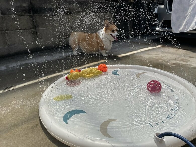 噴水にびびってしまう