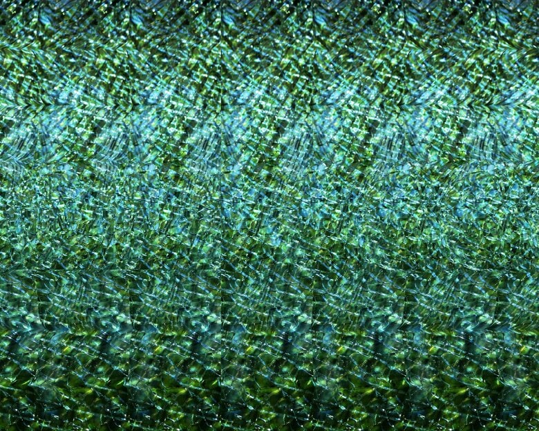 この絵には文字が隠れている（※答えはギャラリーページ）