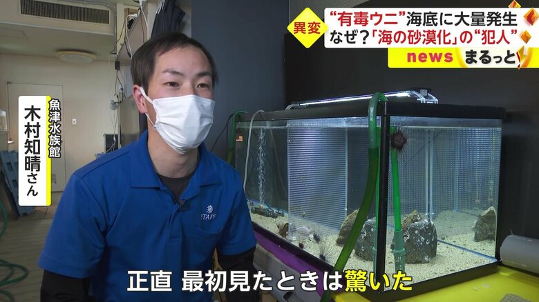 2月に潜水調査をした魚津水族館の木村知晴さん