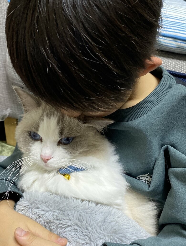 猫吸いを楽しむ息子さん