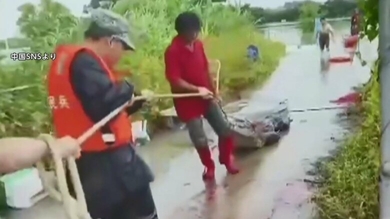 8匹捕獲。現在も多くのワニが逃走中