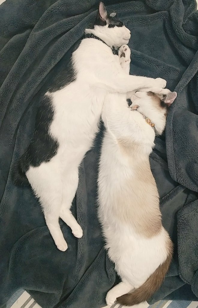 提供：かふぇらてさん