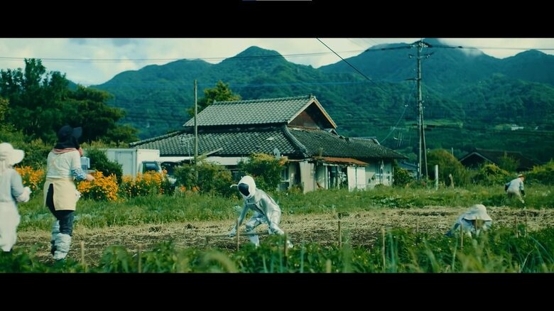 畑のお手伝いもした