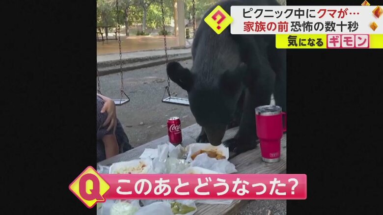 クマは、テーブルの上の食事をむしゃむしゃと…