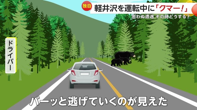 「バーっと逃げていくのが見えた」と話している撮影者（イメージ）