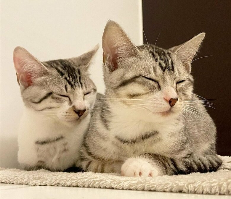 くつろぎ中