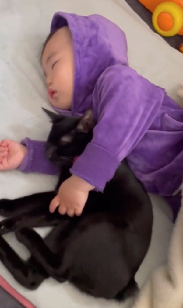 提供：ゴンゾウR4さん