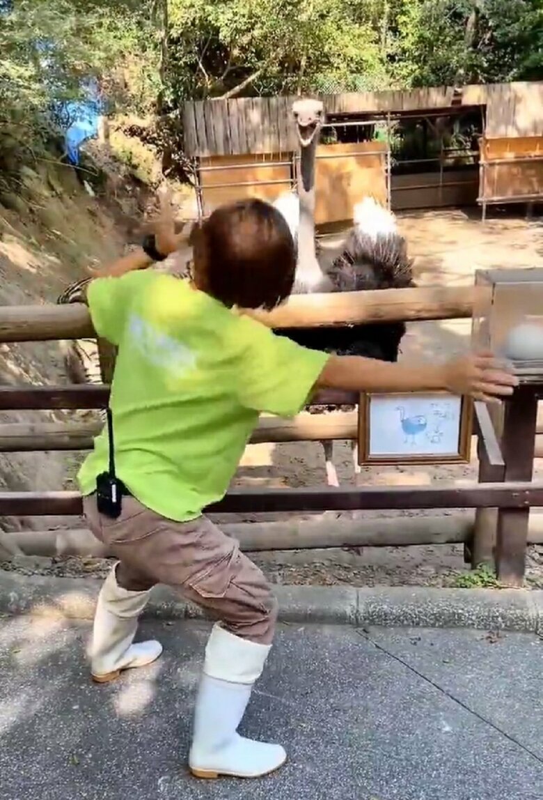 「終わり！」と言っているかのようなキョウちゃん