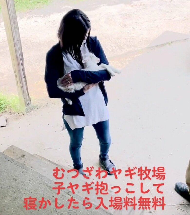 子ヤギを抱えてゆらゆらと揺れている（提供：むつざわヤギ牧場）