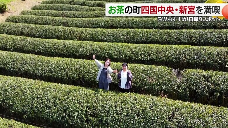 街の喧騒を離れ新緑の大自然の中で過ごすひと時は身も心もリフレッシュ