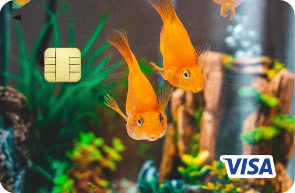 提供：株式会社エポスカード