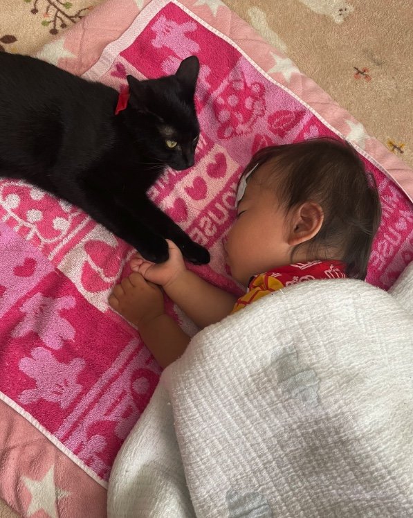 提供：ゴンゾウR4さん