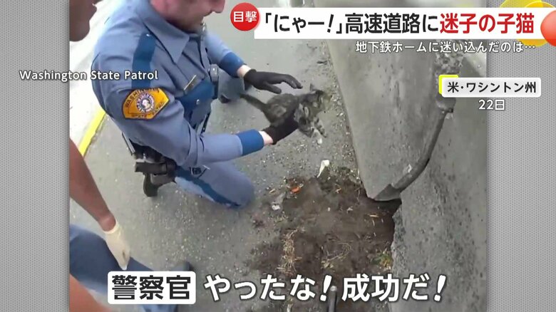 子ネコの救出活動をする警察官（22日、アメリカ・ワシントン州の高速道路）