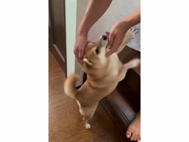 提供：Naoko.Ichikawaさん