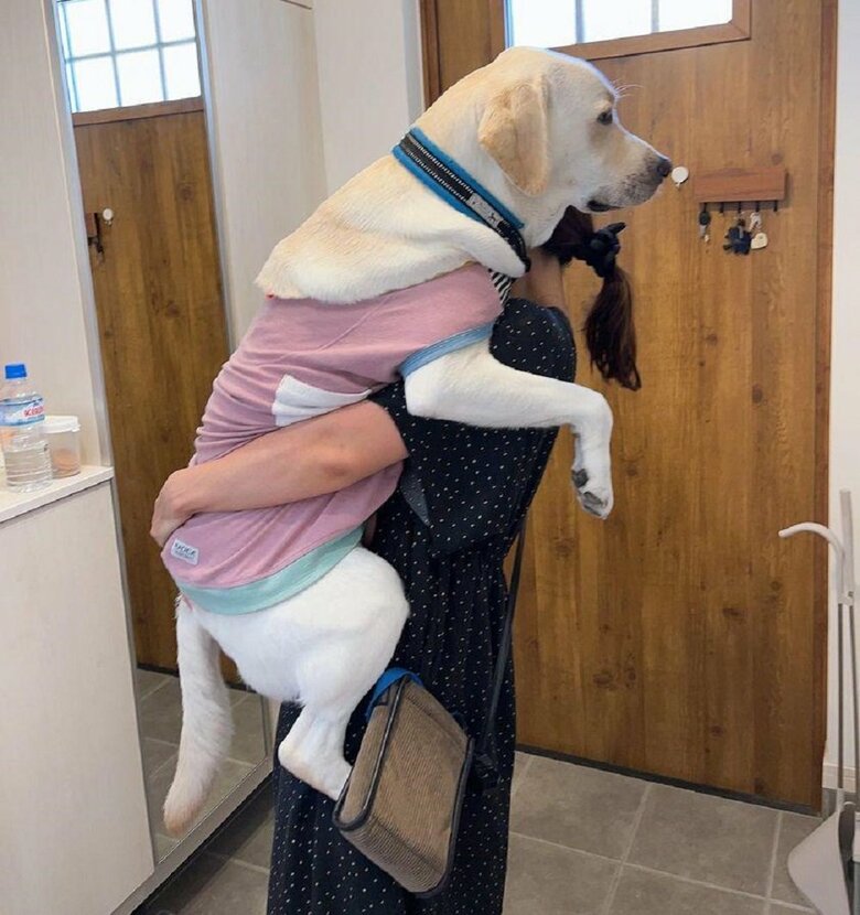 抱っこされるぽのくん