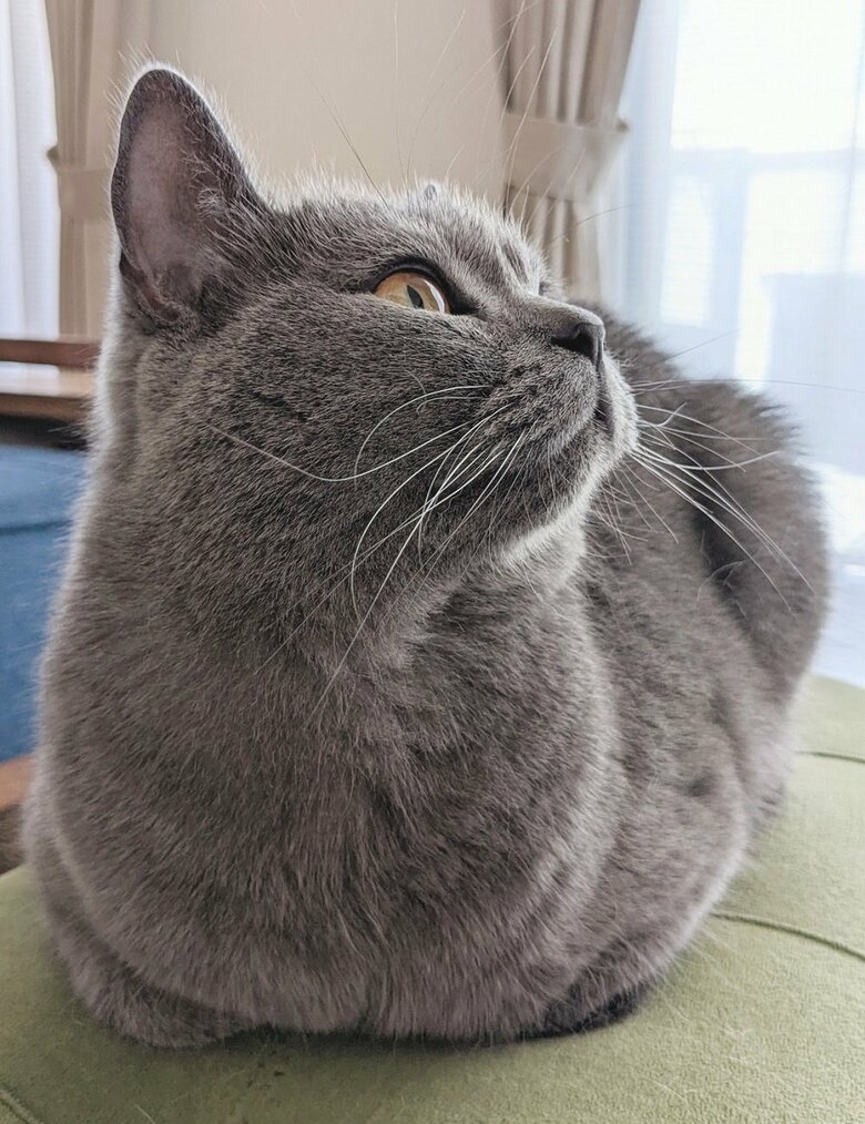 お風呂終わりのふわふわな光太郎くん