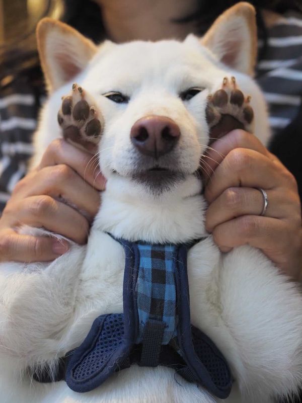 提供：ラッキーさん