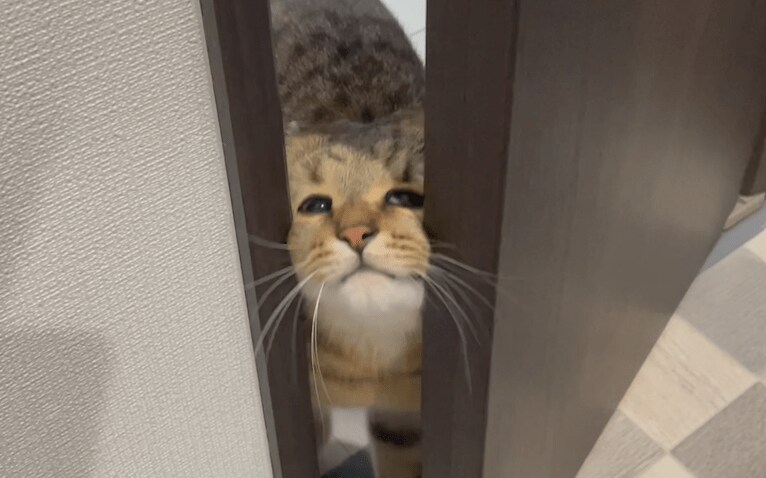 その隙間は厳しい