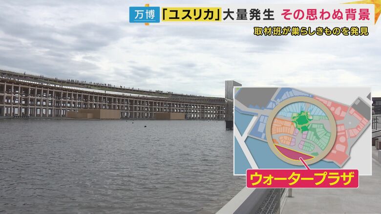 ウォータープラザ