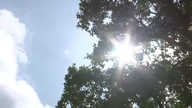 岩泉町で35.2℃　28地点で真夏日　万全な熱中症対策を　岩手県（7月15日午前11時20分時点）