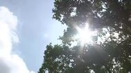 岩泉町で35.2℃　28地点で真夏日　万全な熱中症対策を　岩手県（7月15日午前11時20分時点）