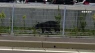 クマが学校給食センター敷地に出没　小学校は児童900人余りを保護者に引き渡し　岩手・盛岡市