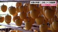 志賀町のあちこちでオレンジ色のカーテン…町の特産品「ころ柿」づくりが最盛期