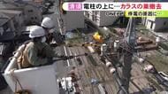 停電引き起こす原因に…高さ約12mの電柱の上に作られた“カラスの巣”撤去 中部電力パワーグリッドが作業を公開
