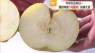 玉伸び良く糖度も乗っている・酒田市特産「刈屋梨」　114トン出荷見込み8割県内・2割関東へ　山形