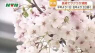  長崎で桜が満開…平年より1日、2025年より3日遅い満開　天気は下り坂で4日は春の嵐　5日はお花見日和か