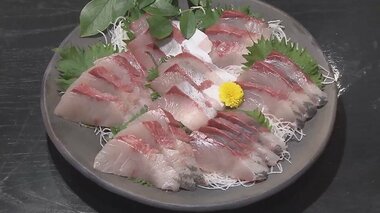 ブリとヒラマサの“いいとこ取り”! 食べておいしく環境にもやさしい「ブリヒラ」とは