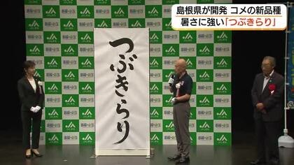新品種の名称は「つぶきらり」島根県が開発「暑さに強い」コメ「島系84号」暑さに負けず、輝く稲穂に