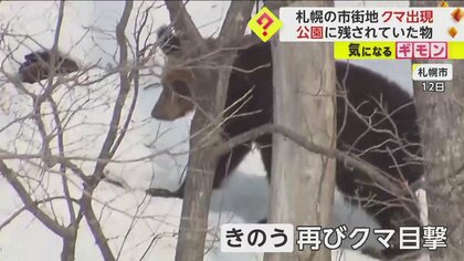 「逃げたら50m追いかけられた」クマと15mの至近距離で遭遇　住宅街の公園“1週間前と同じ区域”に出没　北海道札幌市