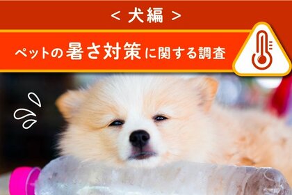 <犬編>ペットの暑さ対策に関する調査