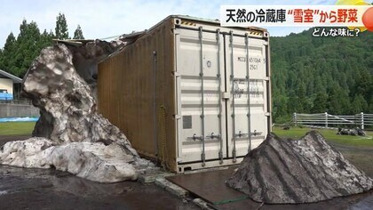 “厄介者”の雪を地域の資源に　天然の冷蔵庫「雪室」で甘み増した野菜やコメをブランド化へ　勝山市北谷町【福井】