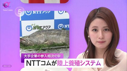 NTTコム「陸上養殖システム」販売…食料自給率向上や地域活性化につなげる狙い　大手企業の参入相次ぐ　