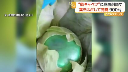 “キャベツ”の葉っぱ剥がすと「覚醒剤」　約900キロのメタンフェタミンを押収　緑色の小包に隠し密輸か　アメリカ